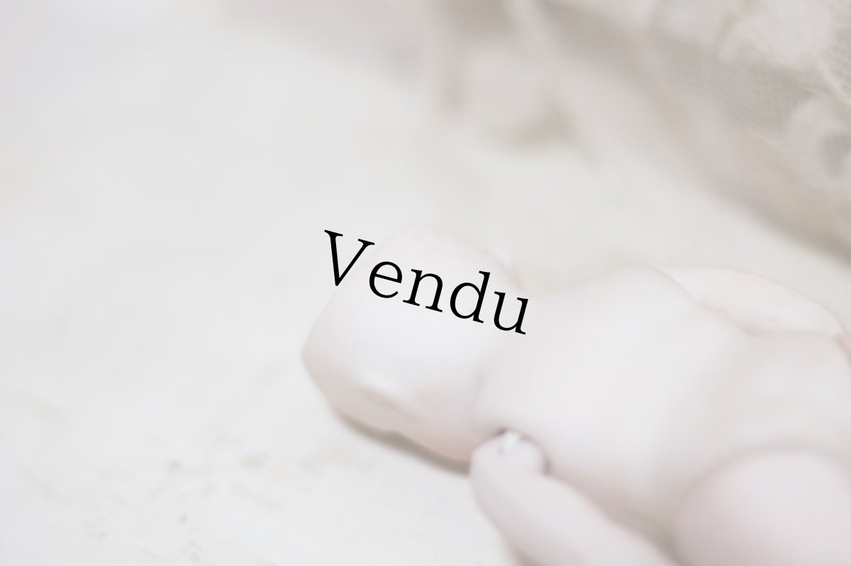 画像15: mignonette //5in. (15)