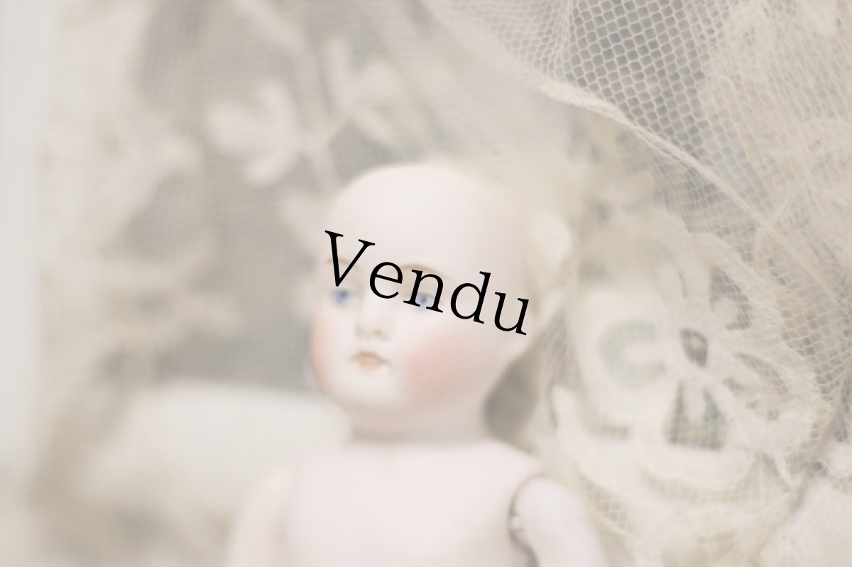 画像9: mignonette //5in. (9)