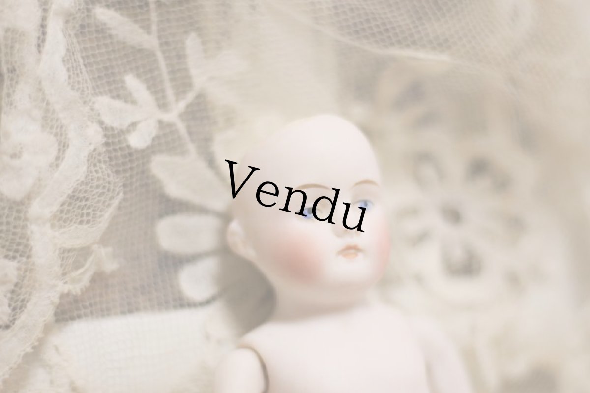 画像8: mignonette //5in. (8)