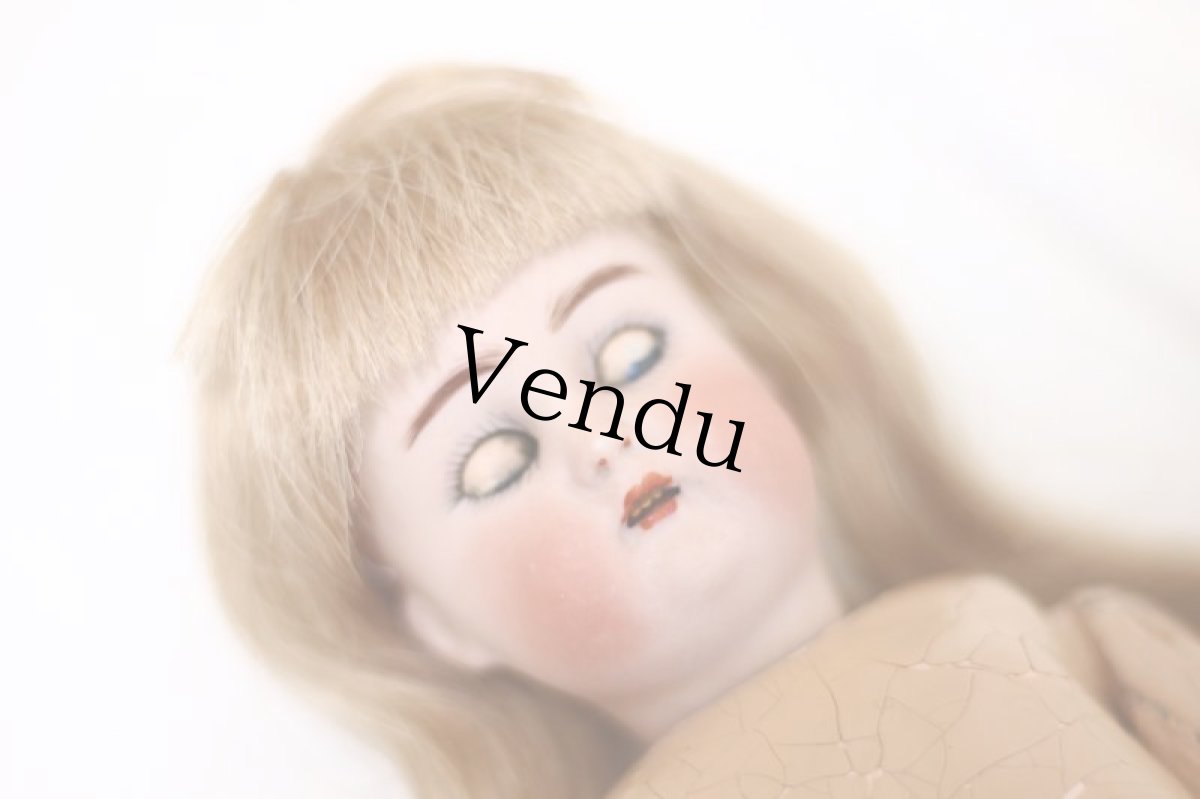 画像17: Simon-Halbig// Kammer&Reinhardt// compo body// blue sleep eyes// 10.5in. (17)