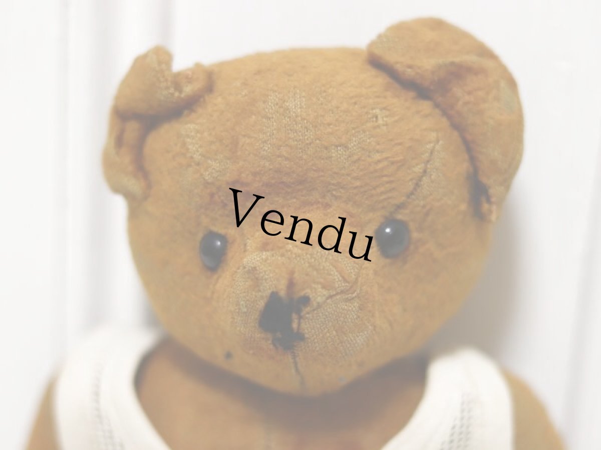 画像2: antique french bear //15in (2)