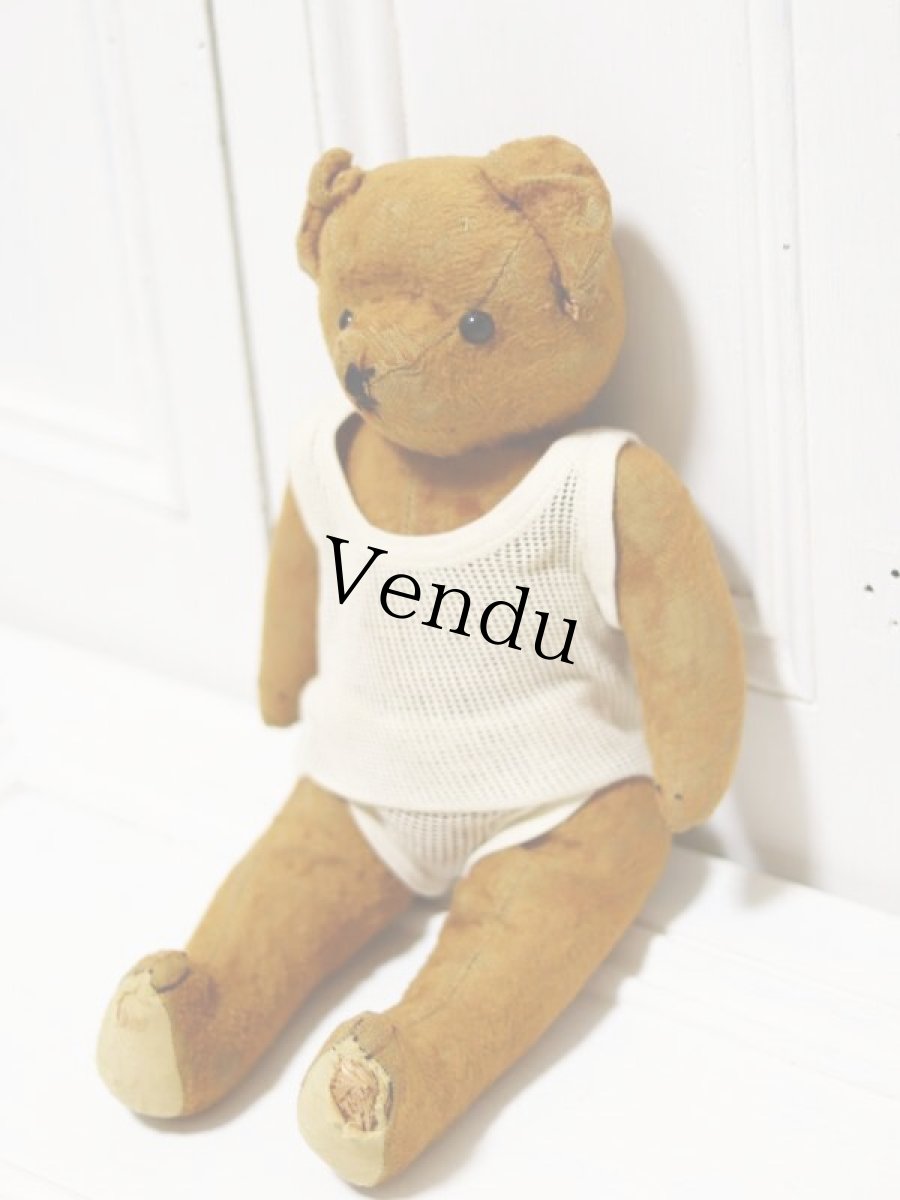 画像4: antique french bear //15in (4)