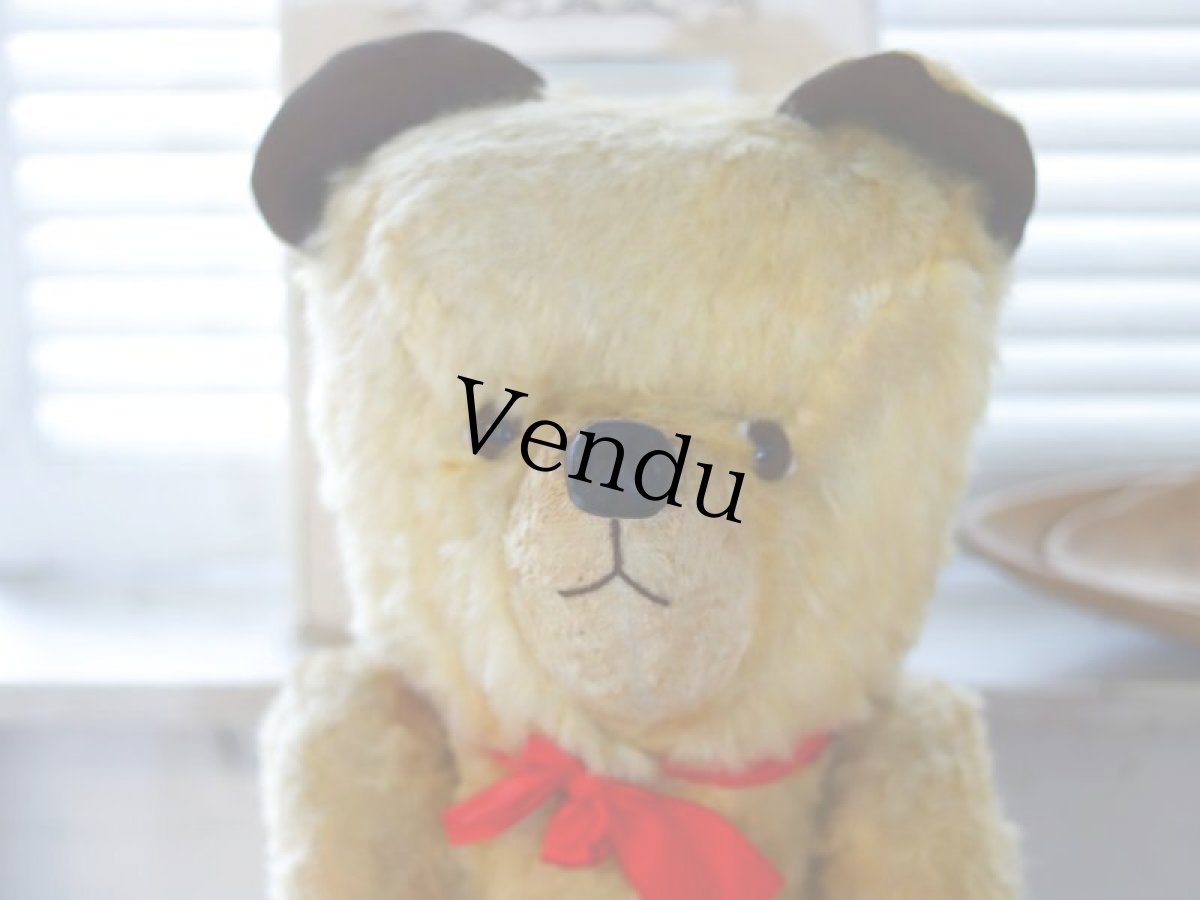 画像2: antique french bear (2)