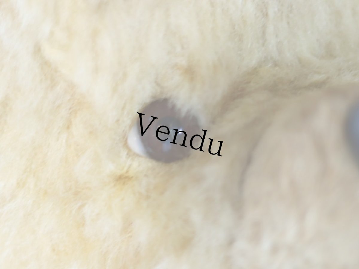 画像8: antique french bear (8)