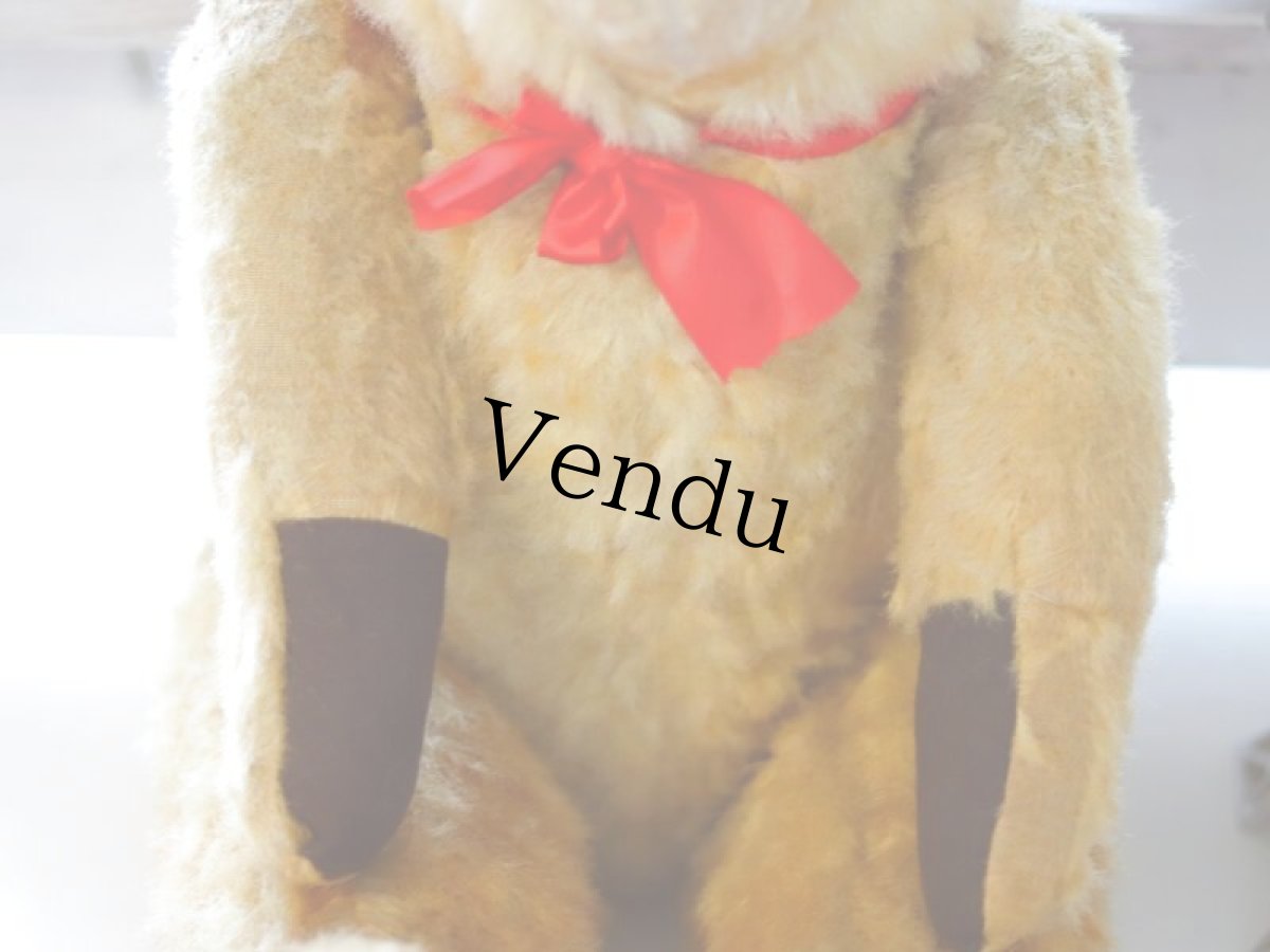 画像6: antique french bear (6)