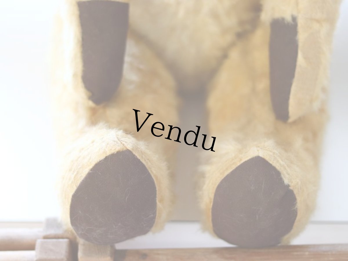 画像7: antique french bear (7)