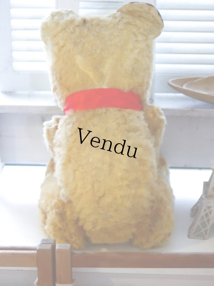 画像4: antique french bear (4)