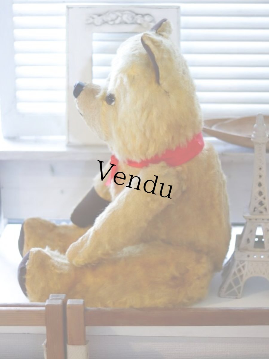 画像5: antique french bear (5)
