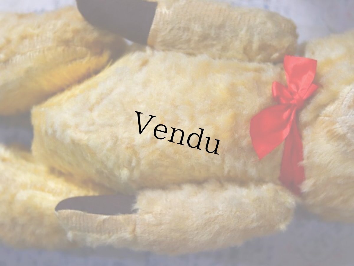 画像11: antique french bear (11)