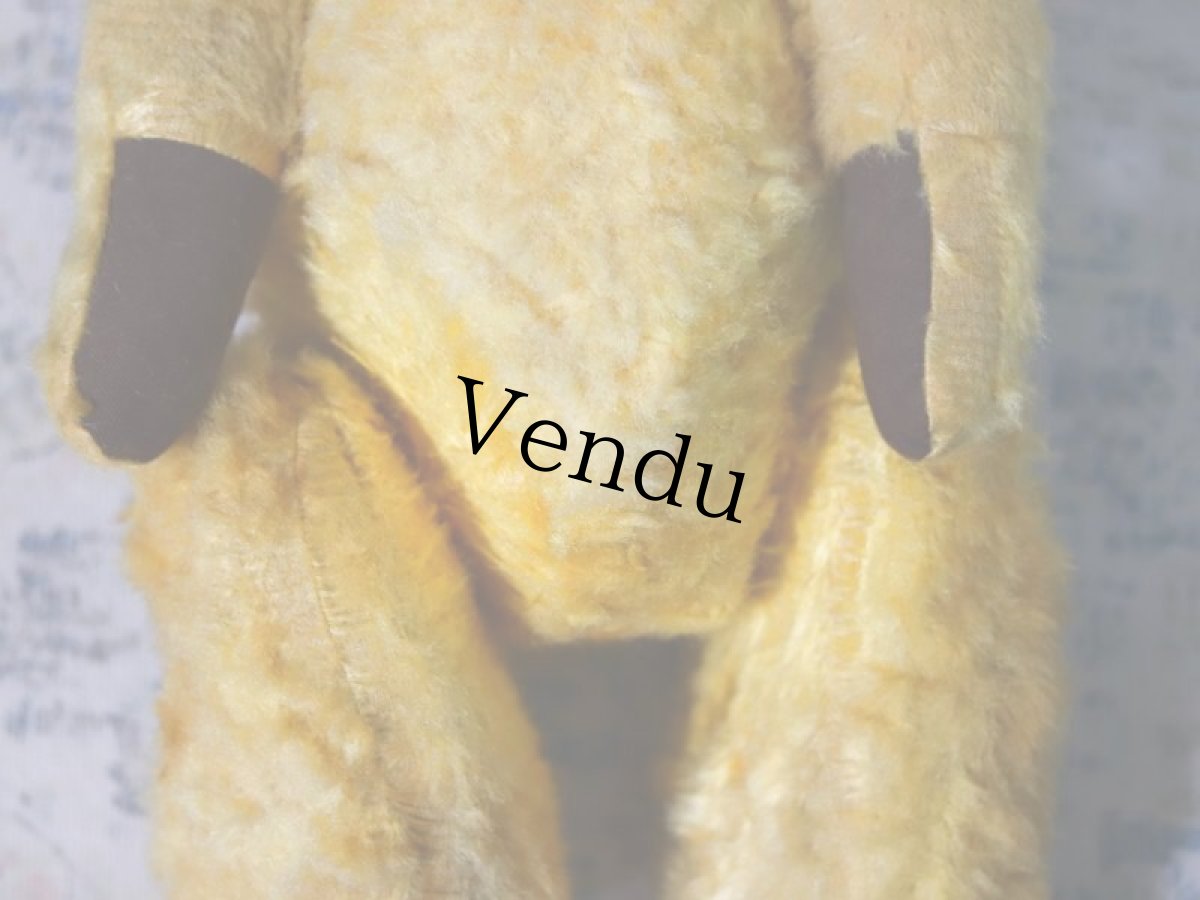 画像10: antique french bear (10)