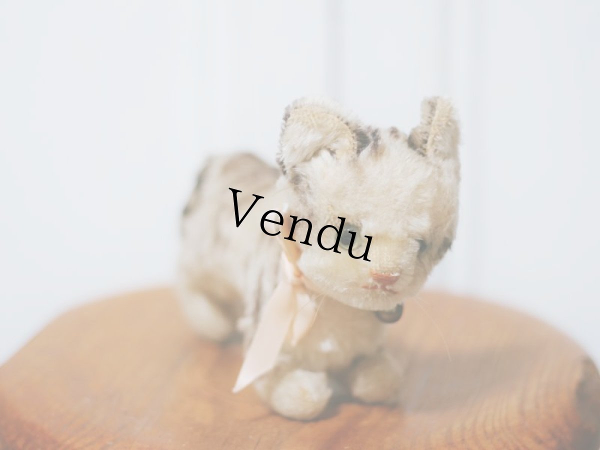 画像3: Antique Steiff Tabby /Germany (3)