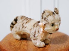 画像4: Antique Steiff Tabby /Germany (4)