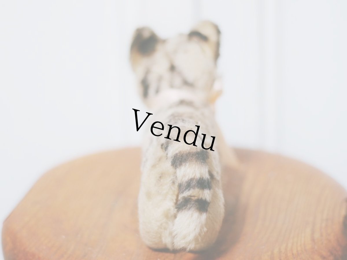 画像6: Antique Steiff Tabby /Germany (6)