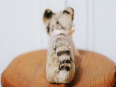 画像6: Antique Steiff Tabby /Germany (6)