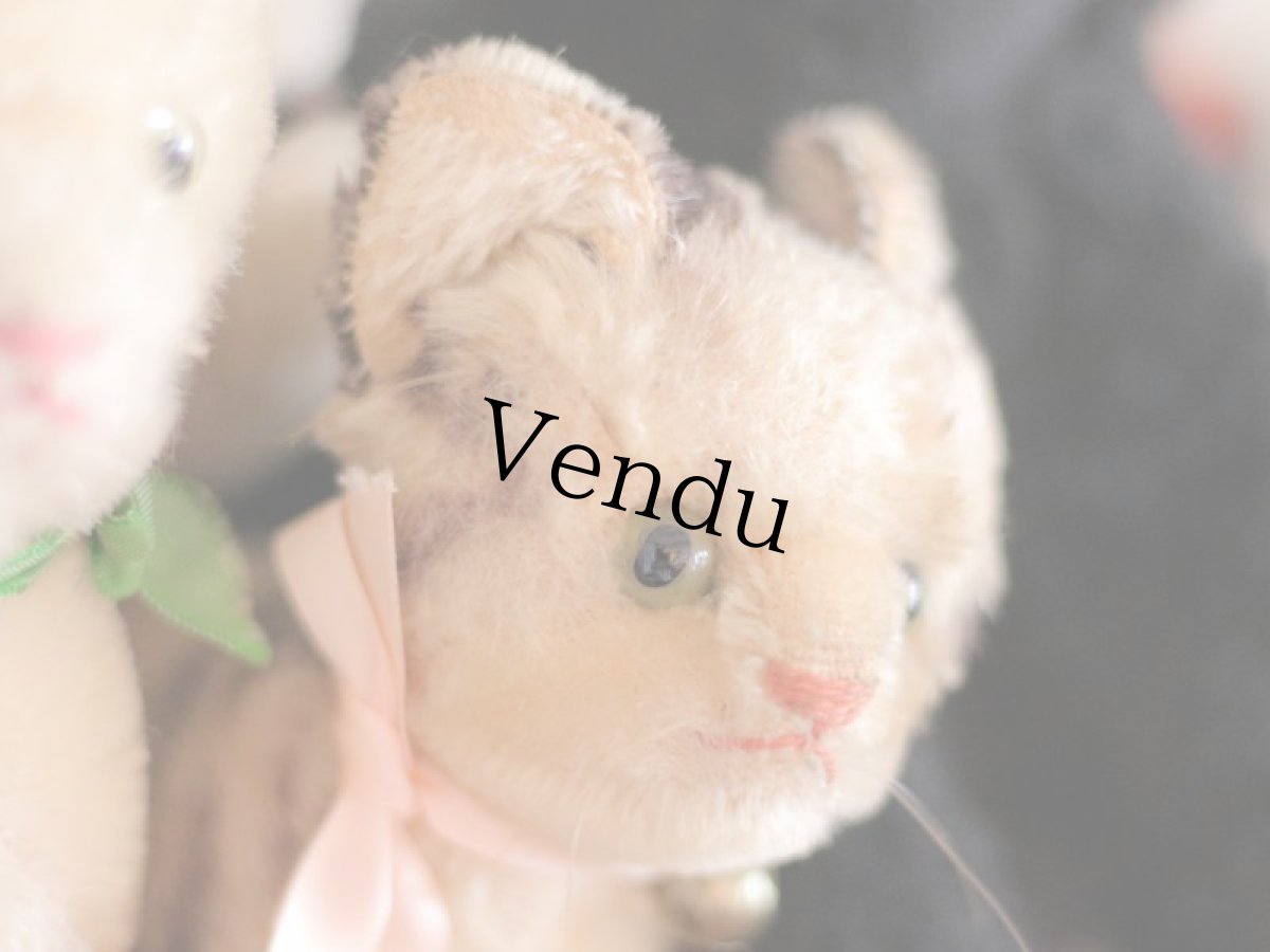 画像8: Antique Steiff Tabby /Germany (8)