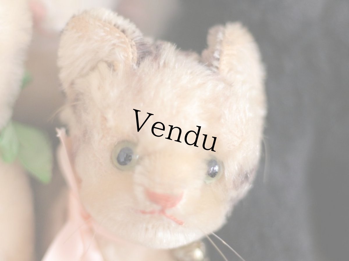 画像7: Antique Steiff Tabby /Germany (7)