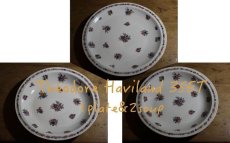 画像1: Théodore Haviland 3SET//24.5cm 1plate&21.8cm 2soup / French/テオドール ハヴィランド (1)