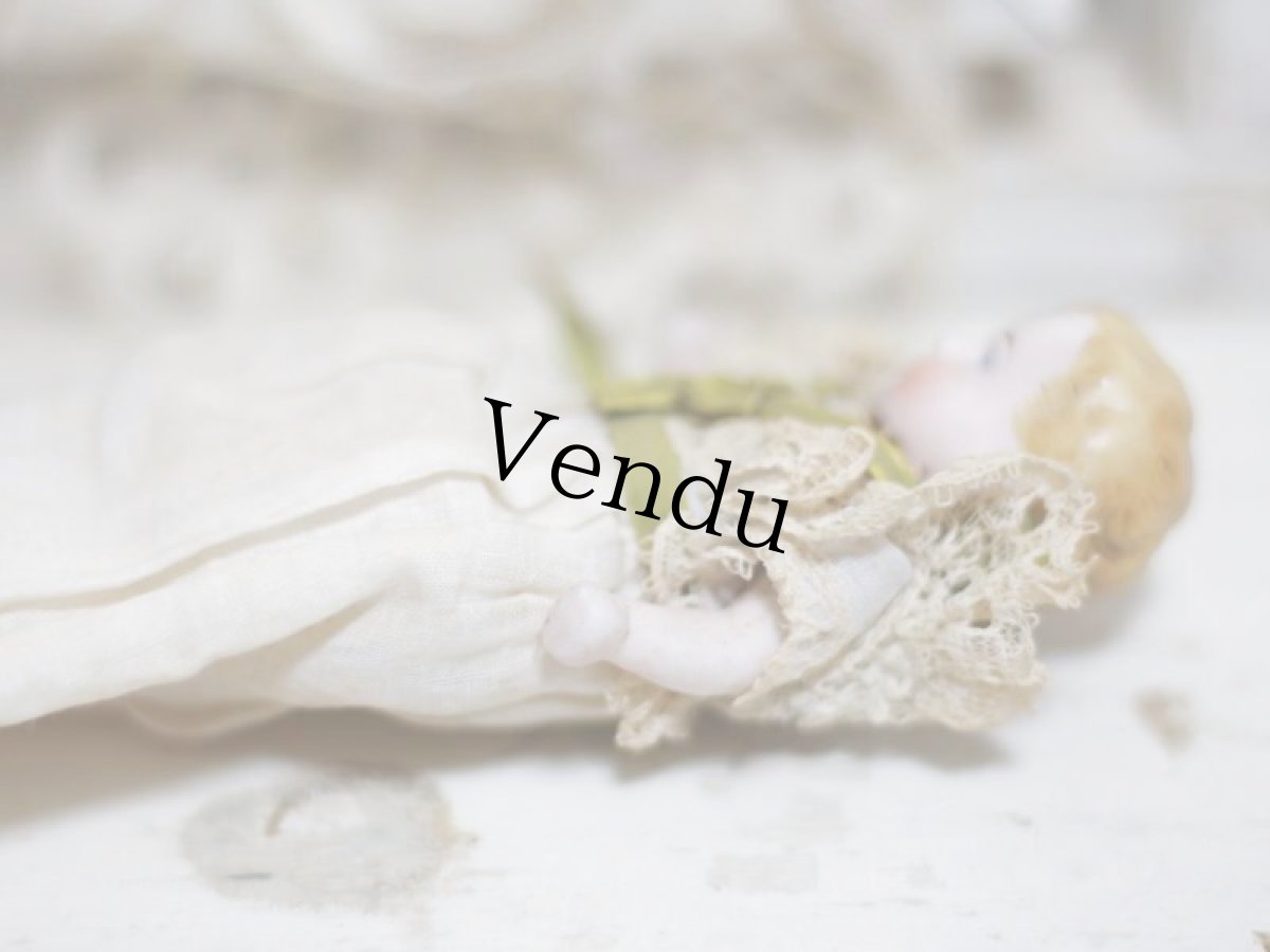 画像12:  Hertwig mignonette all bisque //3.5in (12)