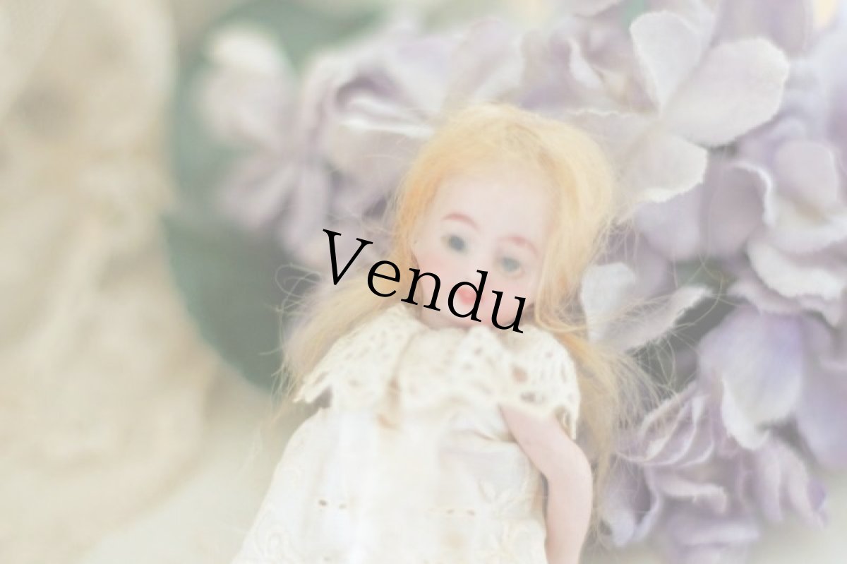 画像5: Nさま専用カートです。mignonette-E/All bisque/4in (5)