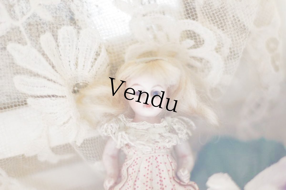 画像2: kling mignonette // 3-1/2in //B (2)