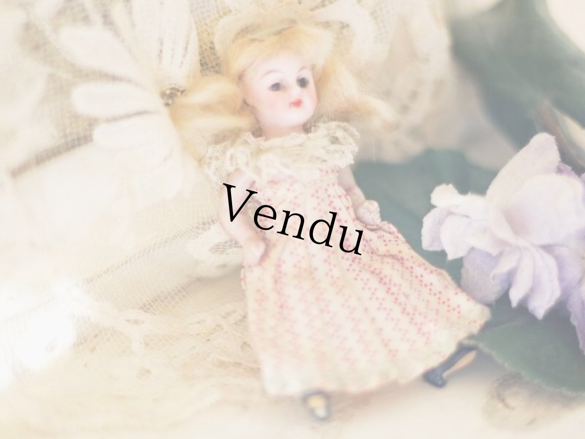 画像3: kling mignonette // 3-1/2in //B (3)