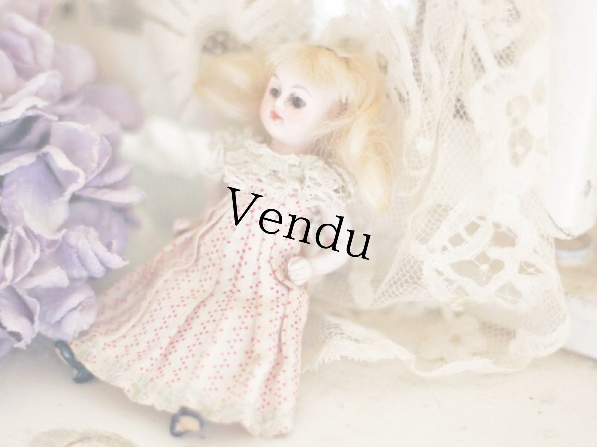 画像4: kling mignonette // 3-1/2in //B (4)