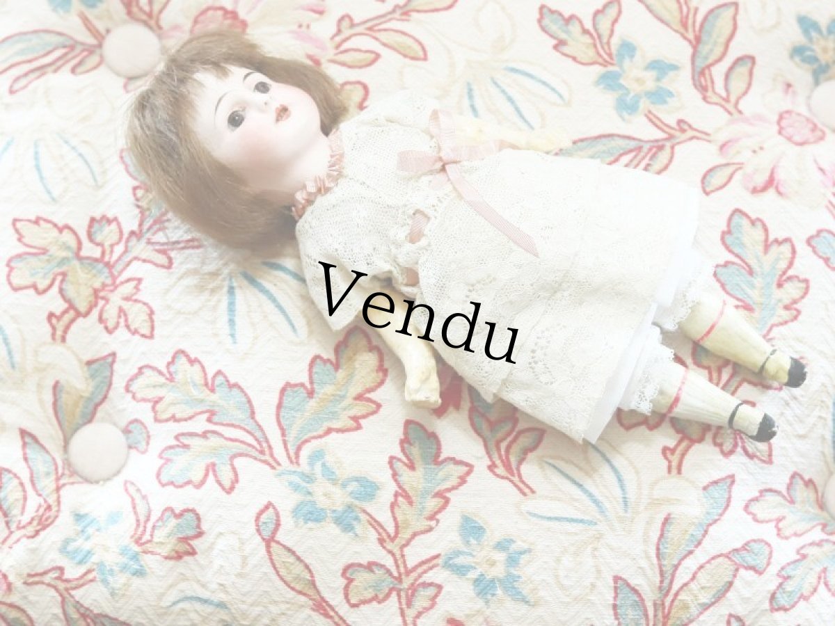 画像13: mignonette //9in (13)