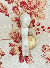 画像11: フローズンシャーロット (11)