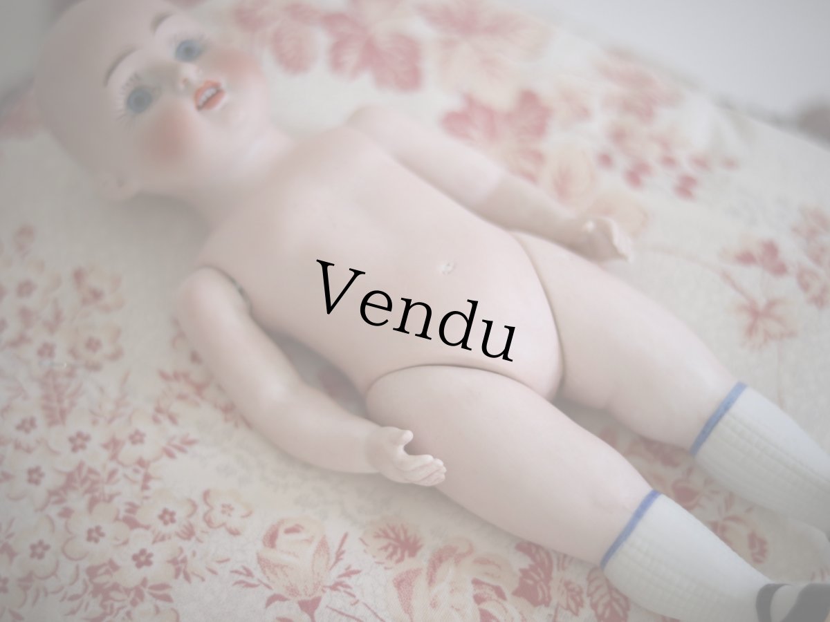 画像14: Kestner all bisque //8in (14)