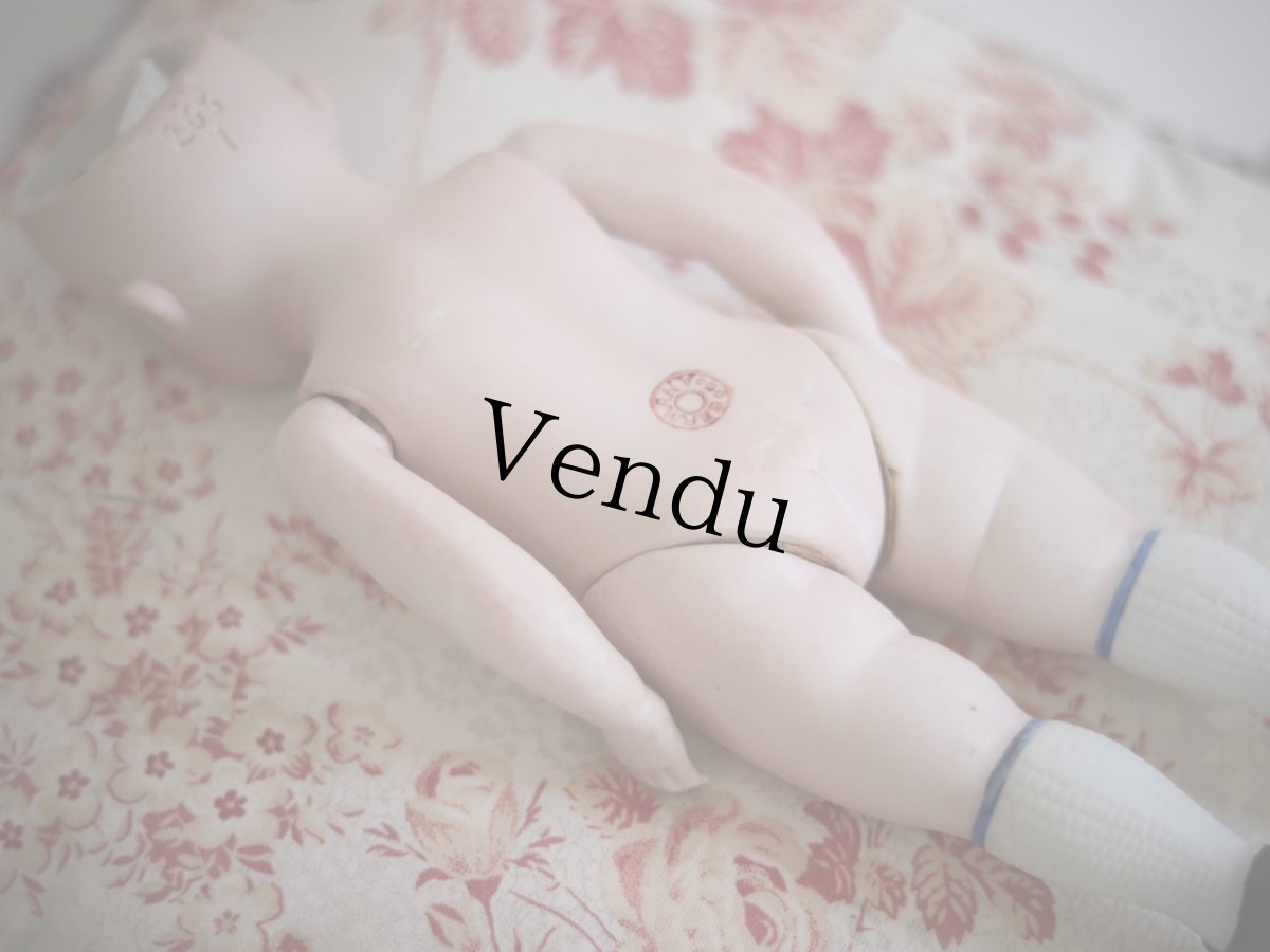 画像15: Kestner all bisque //8in (15)