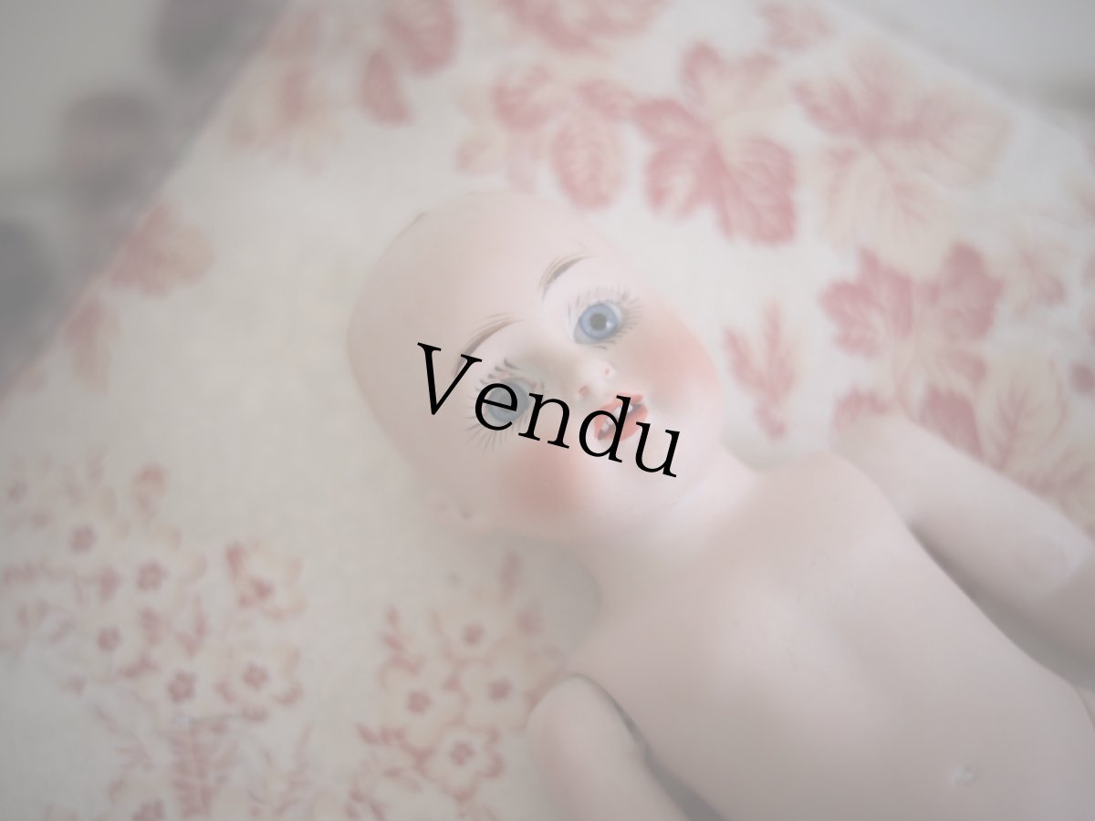 画像16: Kestner all bisque //8in (16)