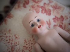 画像16: Kestner all bisque //8in (16)