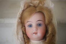 画像4: Gebruder Kuhnlenz//9in (4)