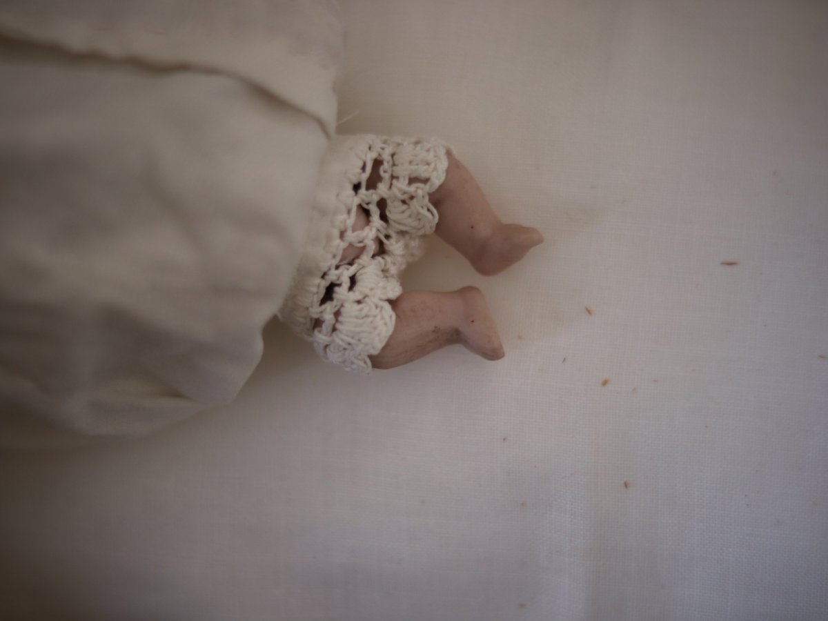 画像8: all bisque baby blue//2.5in (8)