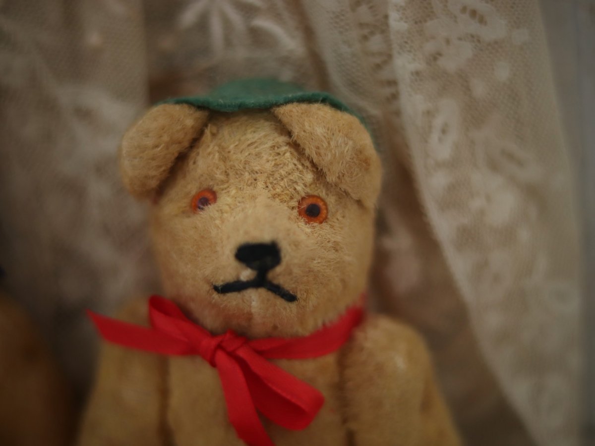 画像7: peanuts bear (7)