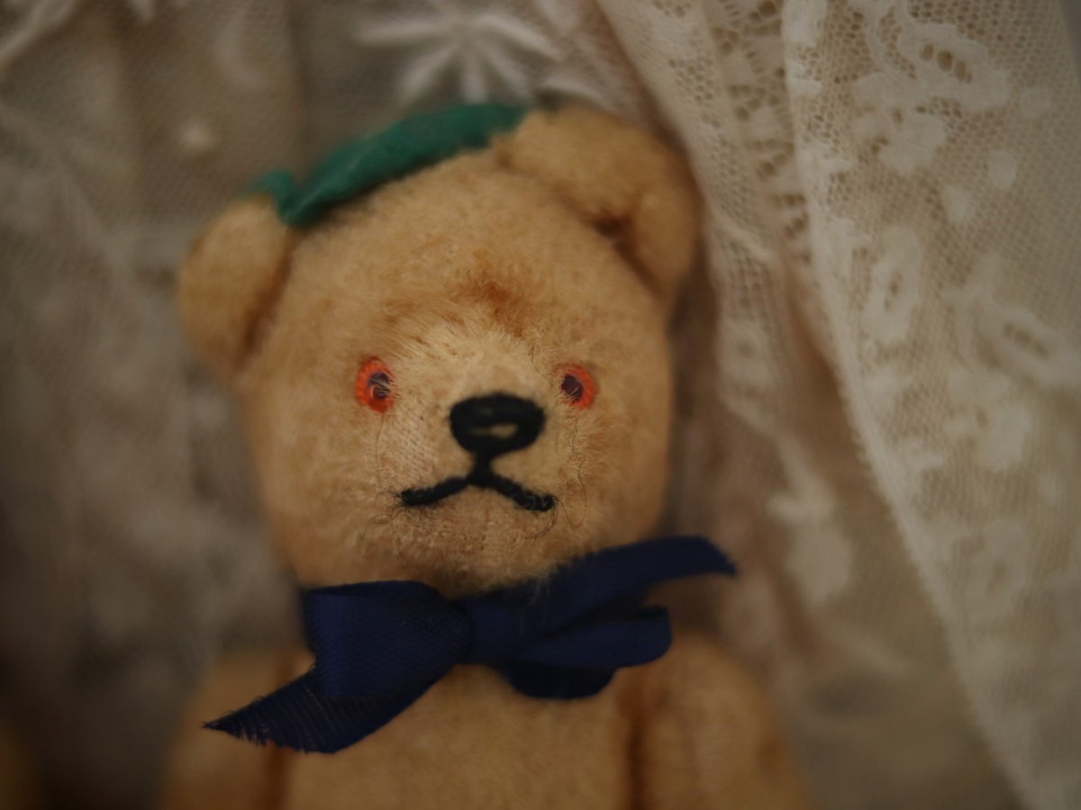 画像6: peanuts bear (6)