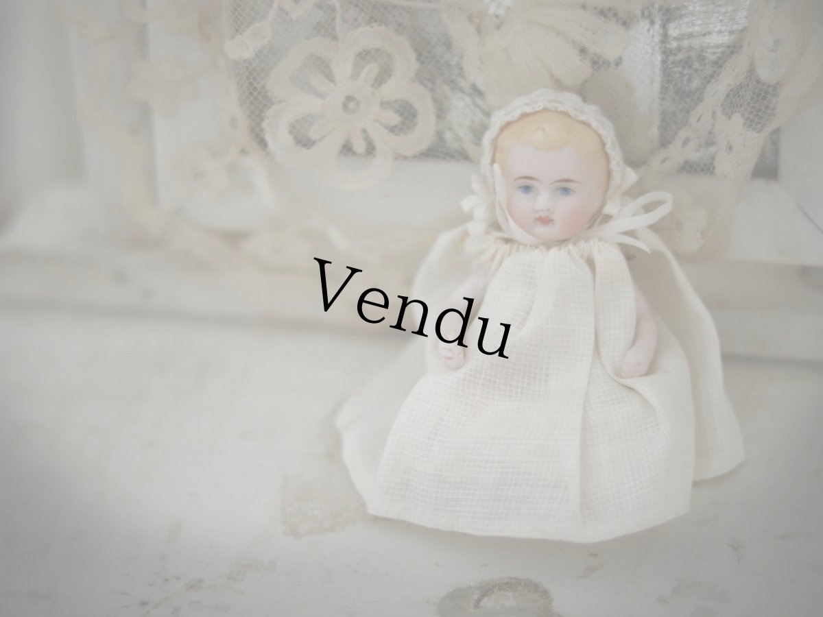 画像1: all bisque mignonette //3.5in (1)