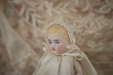 画像4: all bisque mignonette //3.5in (4)