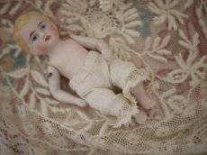 画像8: all bisque mignonette //3.5in (8)