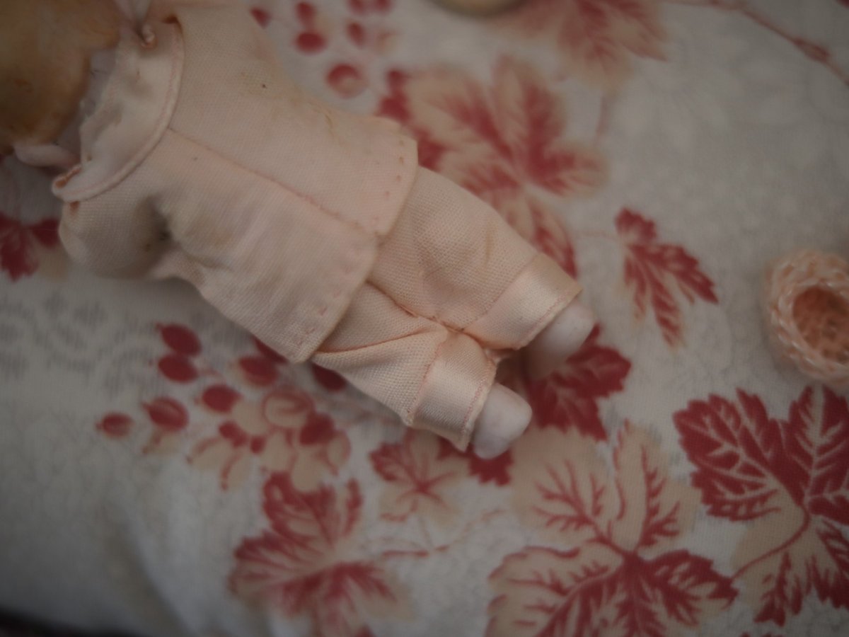 画像8: all bisque mignonette //3.5in (8)