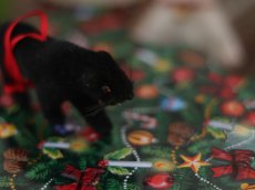 画像12: Wagner Handwork  小さな動物たちシリーズ/赤いリボンのクリスマスオーナメント / Wagner Künstlerschutz (12)