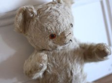 画像8: Antique Knickerbocker Teddy Kuddles /B (8)