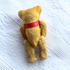 画像4: miniature teddy bear  赤リボン＊ (4)