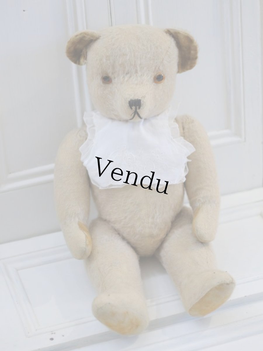 画像1: French Bear B//59cm//France (1)