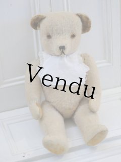 スロベニアの蚤の市に転がっていたテディベア スロヴェニア アンティーク Antique Teddybear/ぬいぐるみ - Antique toricoTte