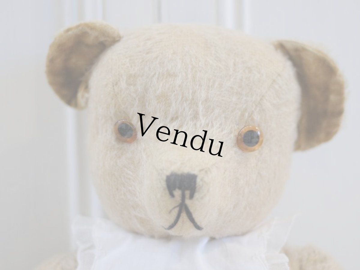 画像2: French Bear B//59cm//France (2)