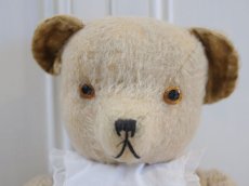 画像2: French Bear B//59cm//France (2)