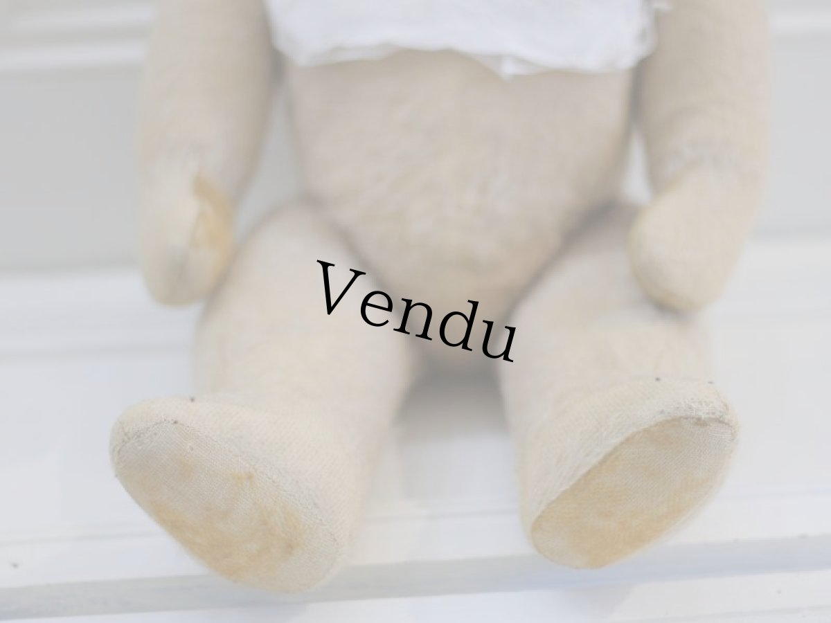 画像4: French Bear B//59cm//France (4)