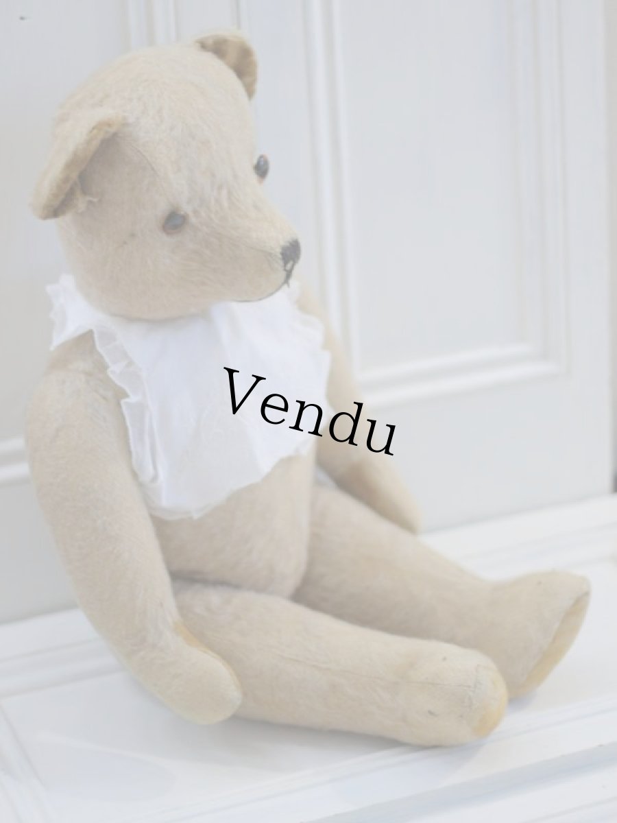 画像5: French Bear B//59cm//France (5)