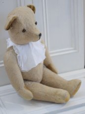 画像5: French Bear B//59cm//France (5)